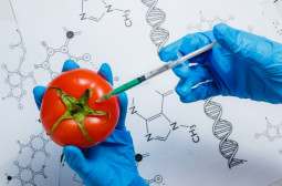 How to Become an Agricultural or Food Scientist